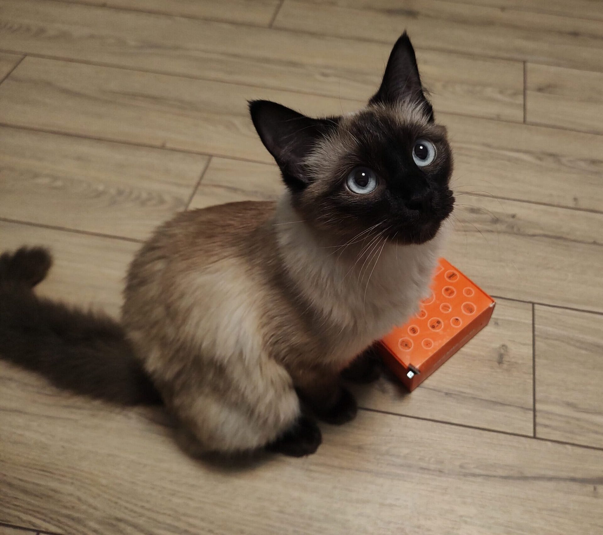 Об'єднуємо Arduino та DS18B20 у портативний bluetooth термометр - IT ...